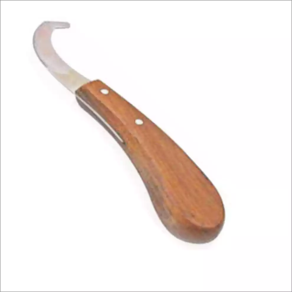 Egg bot Burdizzo Hoof Knife S Egg bot Burdizzo Hoof Knife S