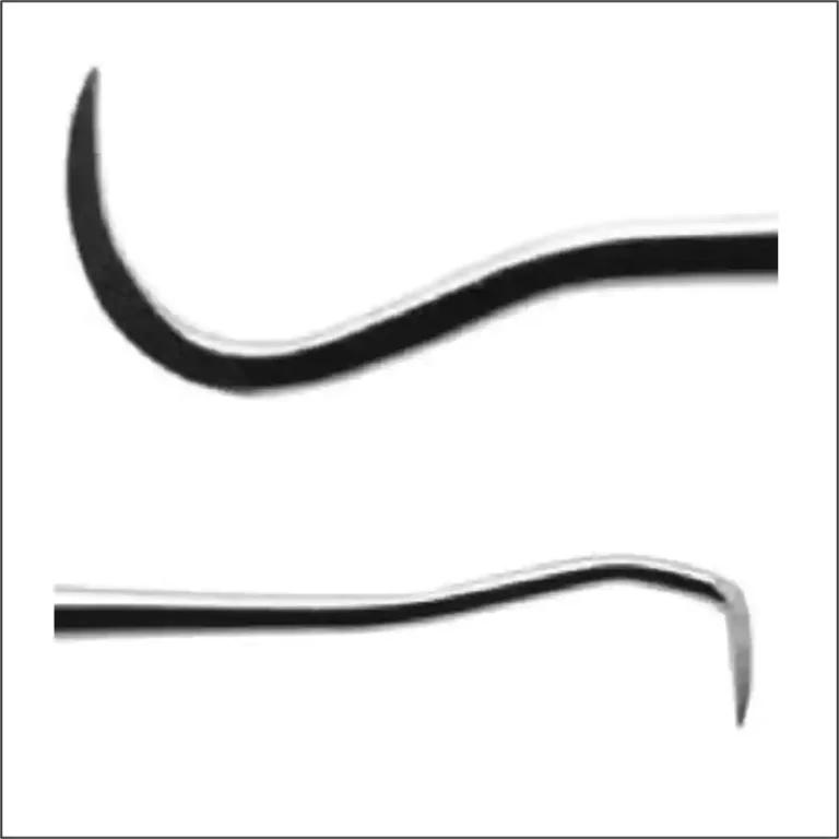 3-Jacquette-Scaler-33-H5