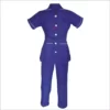 Nursing Uniform Female Bright Blue