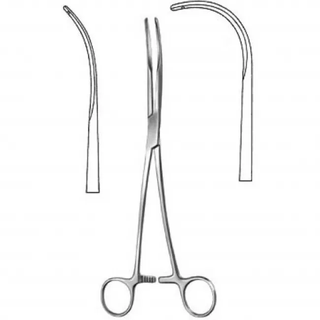 CARDIOVASCULAR INSTRUMENTSCI