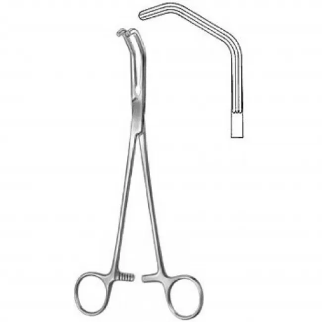 CARDIOVASCULAR INSTRUMENTSCI