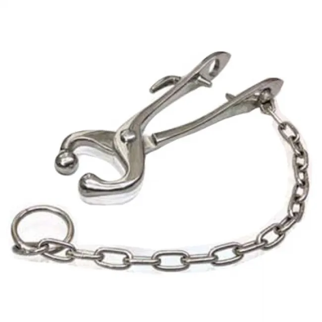 Bull Holder with Chain