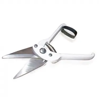 Clipper & Sheep sheer