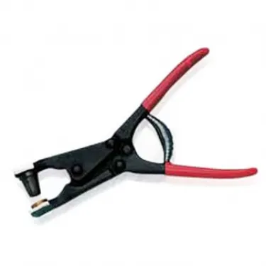 Cattle Marking & Dehorning