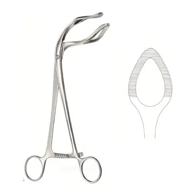 Somer uterine seizing forceps