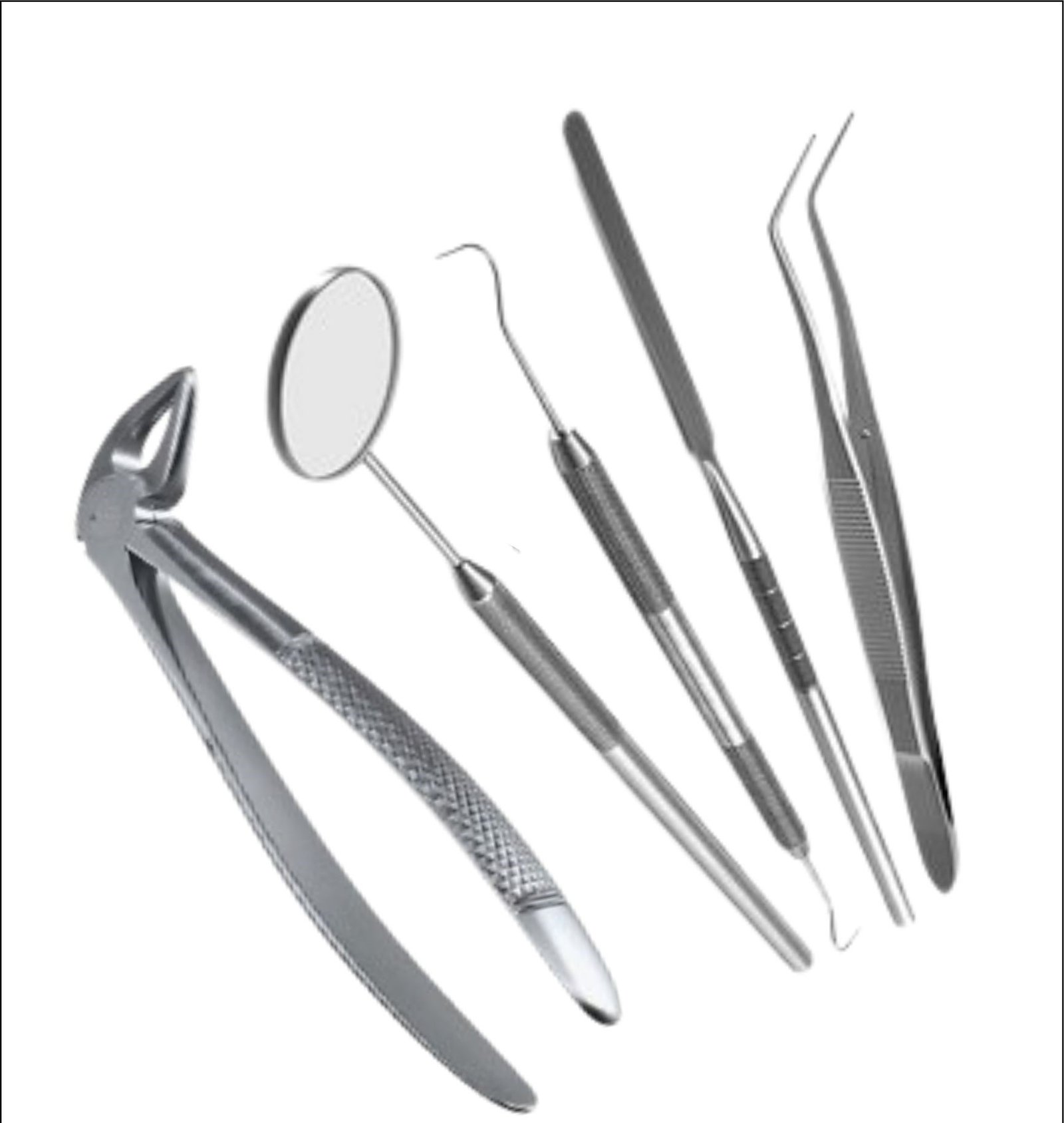 Animal Dental Equipments