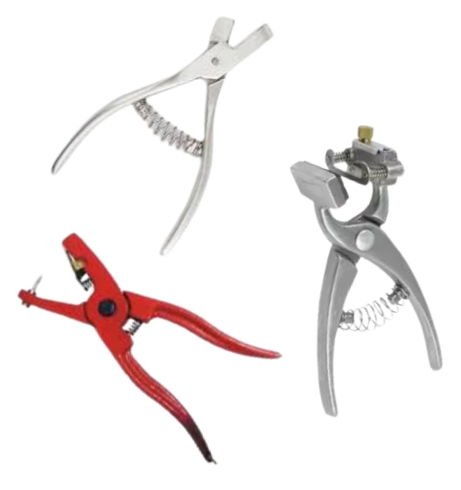 Animal Identification & Dehorning